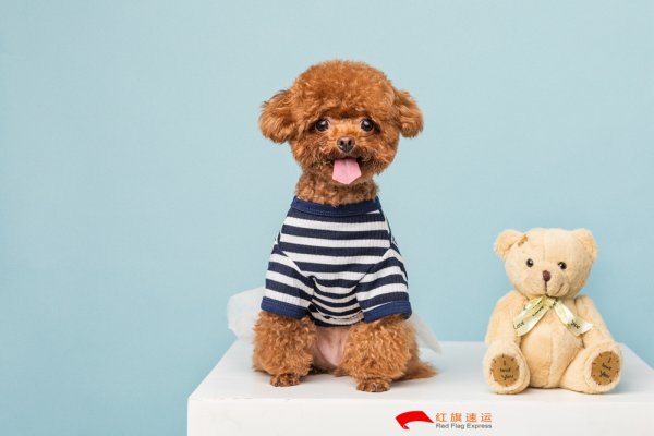 疫情期間香港商品如何轉運到云南德宏呢？